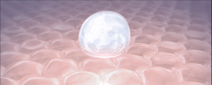 Ů˵ġšla